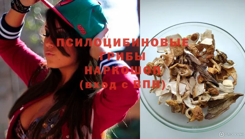 Галлюциногенные грибы Magic Shrooms  Байкальск 